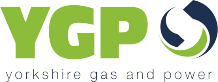 ygp (1)